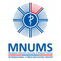 International Cyber Education Center